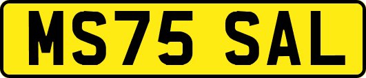 MS75SAL