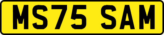 MS75SAM