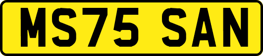 MS75SAN