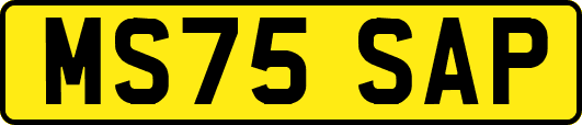 MS75SAP
