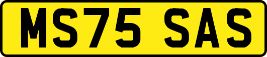 MS75SAS