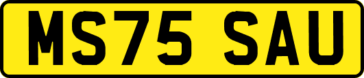 MS75SAU