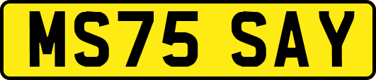 MS75SAY