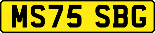 MS75SBG