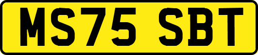 MS75SBT