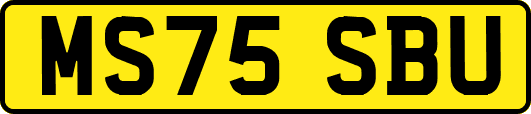 MS75SBU