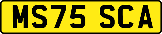 MS75SCA