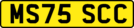 MS75SCC