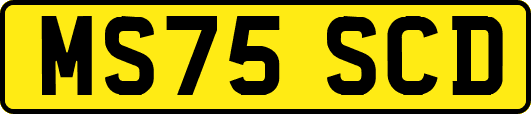 MS75SCD