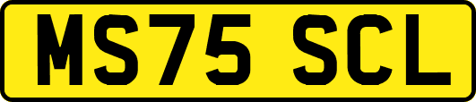 MS75SCL