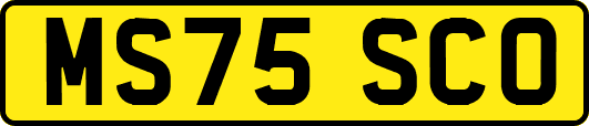 MS75SCO