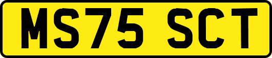 MS75SCT