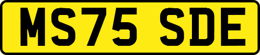 MS75SDE