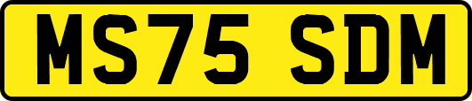 MS75SDM