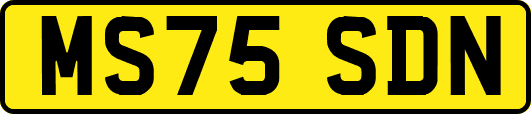 MS75SDN