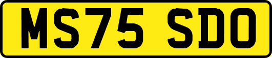 MS75SDO