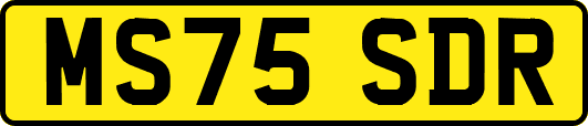 MS75SDR