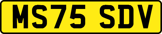 MS75SDV