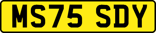 MS75SDY