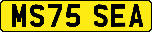 MS75SEA
