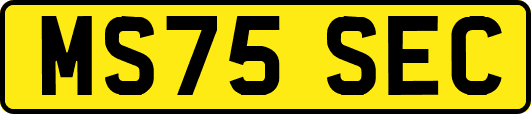 MS75SEC