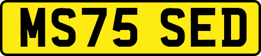 MS75SED