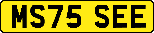 MS75SEE
