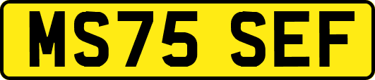 MS75SEF