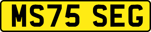 MS75SEG