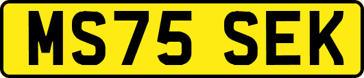 MS75SEK