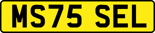 MS75SEL