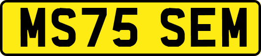 MS75SEM