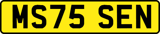 MS75SEN