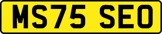 MS75SEO