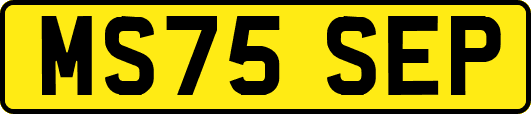 MS75SEP