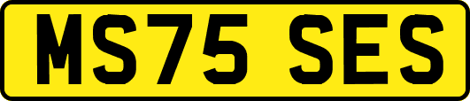MS75SES