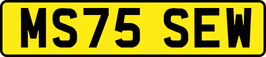 MS75SEW