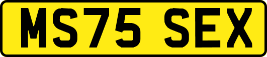 MS75SEX