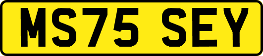 MS75SEY