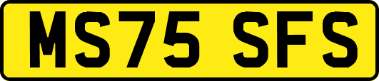 MS75SFS