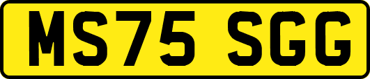 MS75SGG