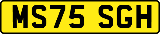 MS75SGH