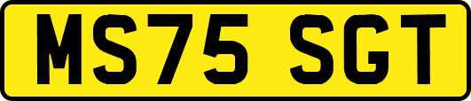 MS75SGT