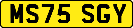 MS75SGY