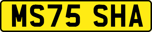 MS75SHA