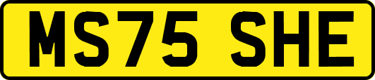 MS75SHE