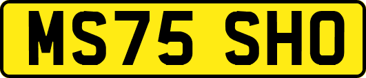 MS75SHO