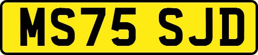 MS75SJD