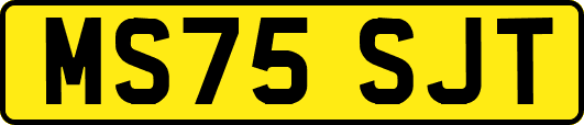 MS75SJT