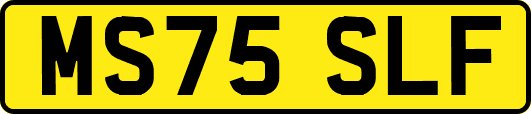 MS75SLF